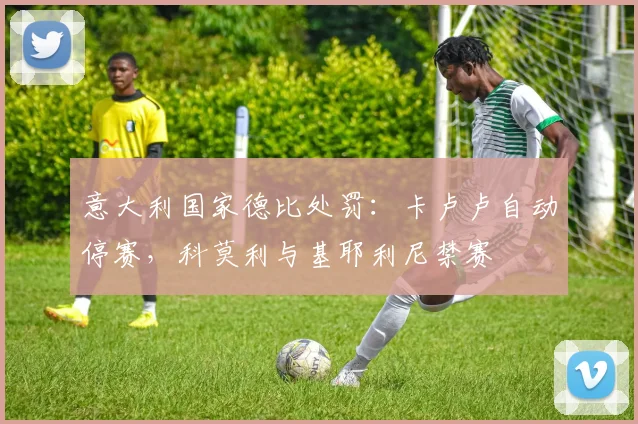意大利国家德比处罚：卡卢卢自动停赛，科莫利与基耶利尼禁赛