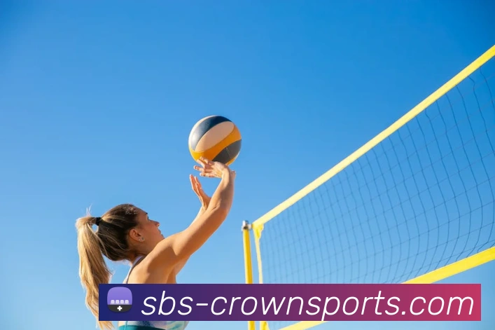 皇冠网平台生态图