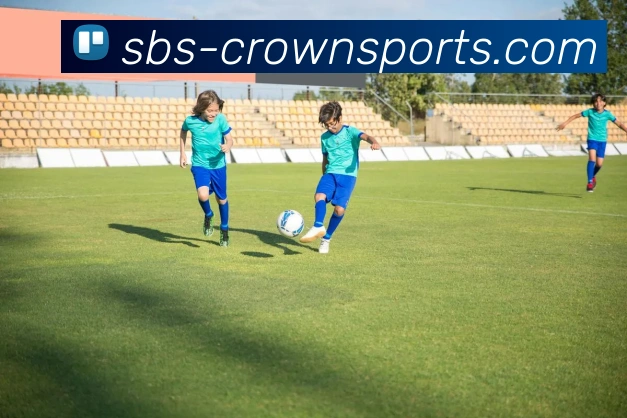 皇冠网APP 封面图